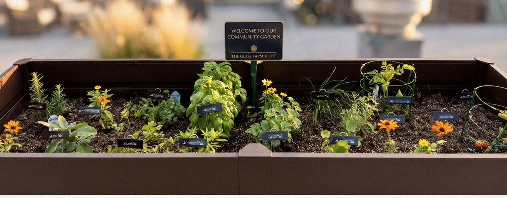 The community herb garden — basil, mint, rosemary, and seasonal flowers in a planter box on the roof